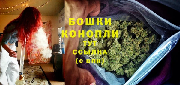 СК Арсеньев