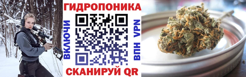 Бошки Шишки семена Ревда